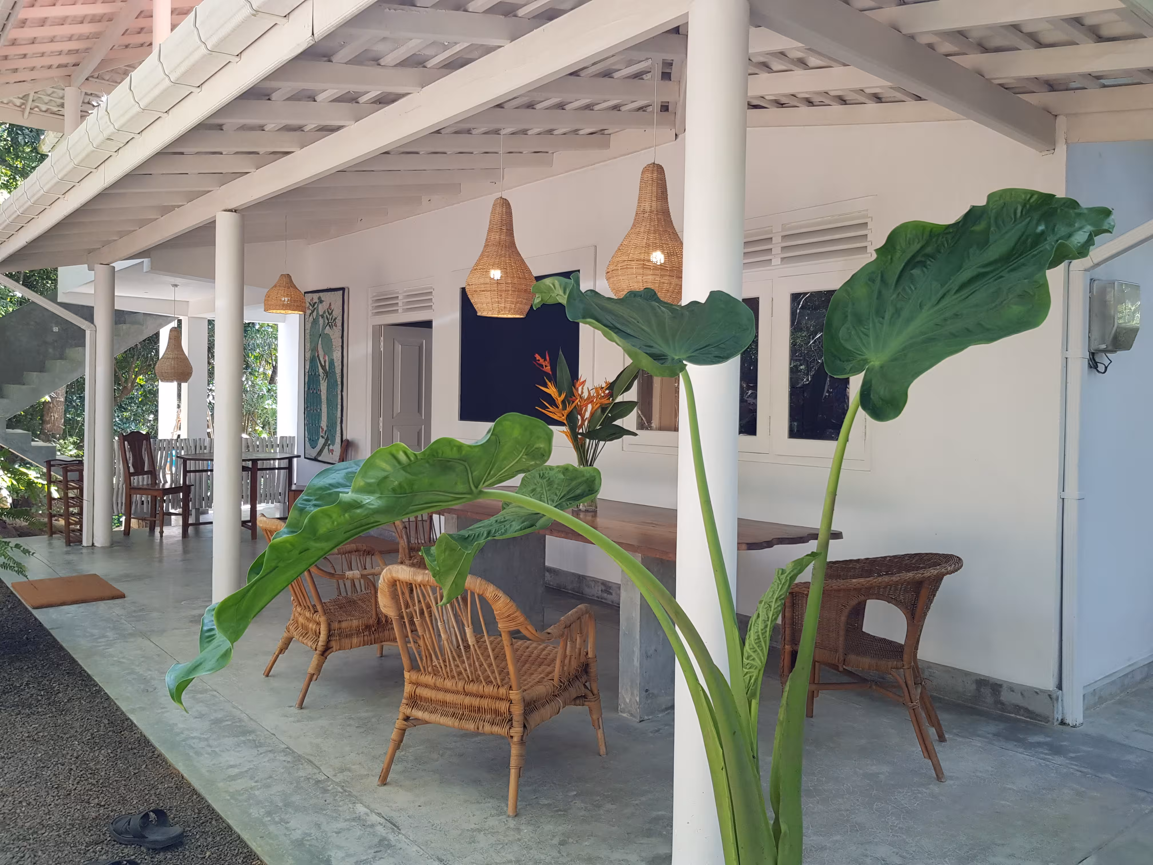 Jungle Joy Apartment 5